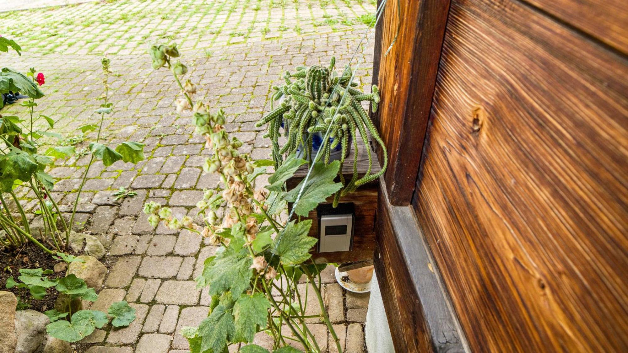 Apartamento Haus Miriam Münstertal Exterior foto